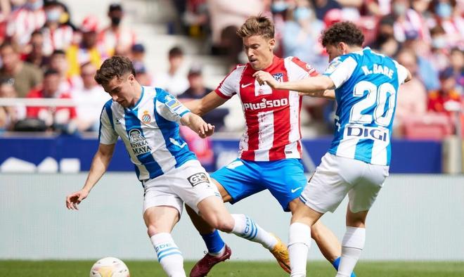 成内容提高 成内容提高