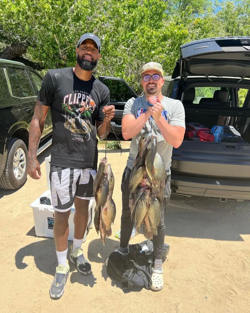 的舞台上 的舞台上