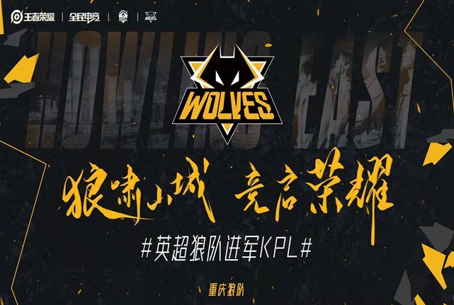 标准化与破 标准化与破